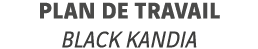 Plan de travail Black Kandia